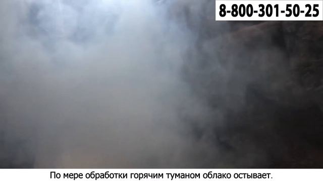 Горячий туман от клопов смотреть онлайн