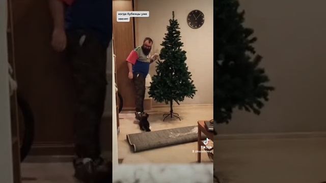 Кот помощник #кот #юмор