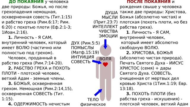 БИБЛЕЙСКОЕ СТРОЕНИЕ ЧЕЛОВЕКА | СХЕМА смотреть онлайн