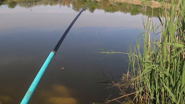 Травень . Карась на поплавочну вудку. Райська насолода. смотреть онлайн