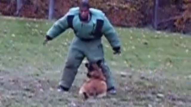 ARF Decoy Seminar Reinier Alomar(PR) Vulcain Revolver Attack смотреть онлайн
