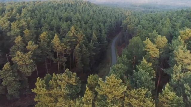 2019 Ford Ranger WILDTRACK Driving Video смотреть онлайн