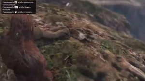 Все золотые лофофоры в ГТА 5 [7 штук]