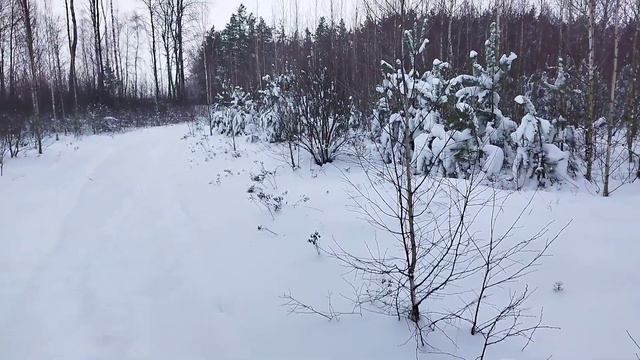 ОХОТА НА ЗАЙЦА С РПГ🦮ПОГОДА КЛАСС❄️ смотреть онлайн