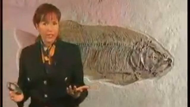 FOSSILS HAVE DISCREDITED EVOLUTION (UNCENSORED) Muslim Video