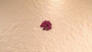 Что творит чеснок с вашим организмом? Что будет если есть чеснок по одному зубчику каждый день?