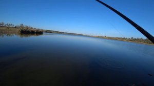 Xesta Black Star s83, спиннинг которым я уже ловлю 4 год