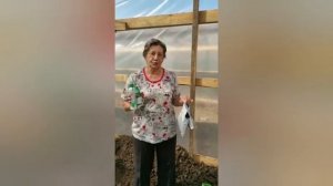 Тридцать три Богатыря и Кормилица - Микориза берутся за работу!!!