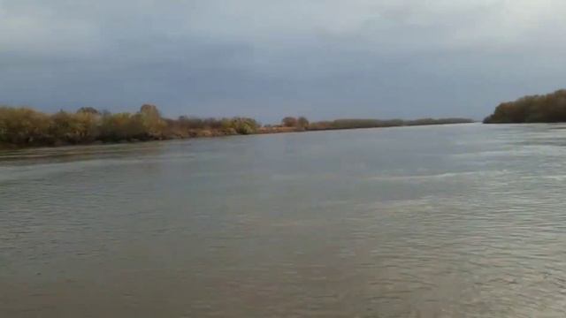 09.10.2022 Хохлатская протока р. Амур. смотреть онлайн
