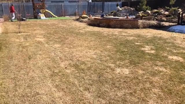 Как я обрабатываю свой ГАЗОН ВЕСНОЙ