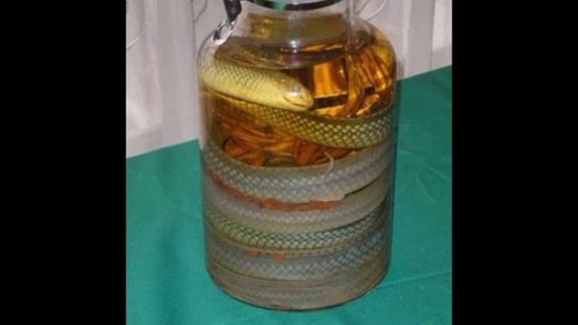 peter nalitch sneaky snake смотреть онлайн