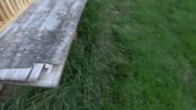 429 DE vs 50 AE vs 44 Magnum vs Pine Boards! смотреть онлайн