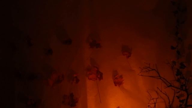 Петровск Хэллоуин 2016 by Swetlana Swetlen'kaya смотреть онлайн