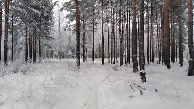 Доделал подъёмный механиз для отвала и отказался от него. смотреть онлайн