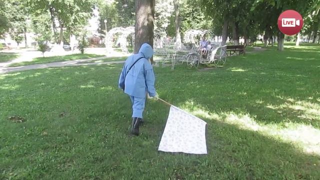 Берегитесь! Клещи атакуют слонимчан! смотреть онлайн