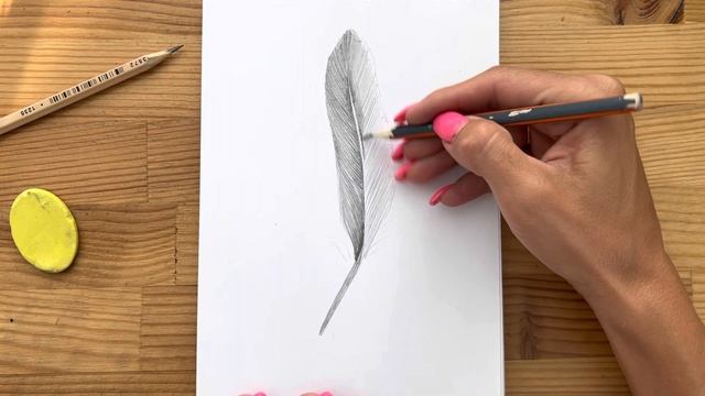Как нарисовать перо карандашом | Рисунок для начинающих поэтапно смотреть онлайн