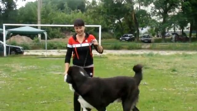 АЛАБАЙ Гарабаш Кара Юлдуз смотреть онлайн