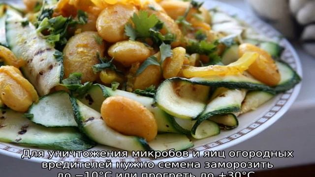 Лимская фасоль смотреть онлайн