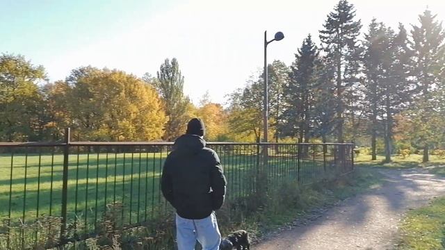 Санкт-Петербург. Южно-Приморский парк. Пруд "Восьмёрка". 21.10.2023. смотреть онлайн