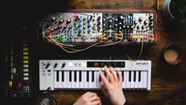 Mutable Instruments RINGS + FX! смотреть онлайн
