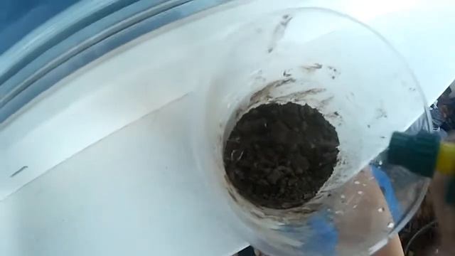 Садим ментол мяту смотреть онлайн