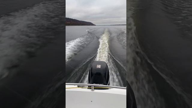 Suzuki Df115 крейсер на Bester 570