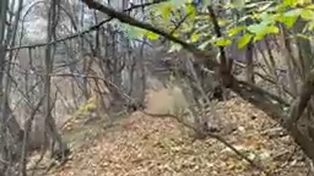 Как снимает видео IPHONE 13 PRO в 4К 60 FPS смотреть онлайн