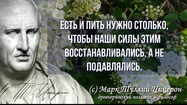 Уроки жизни. Мудрость веков от Цицерона смотреть онлайн