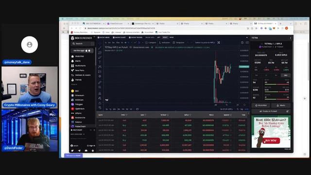 Pulsechain Node Validator made easy with David Feder смотреть онлайн