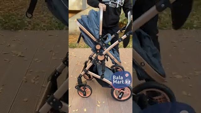 Детская коляска трансформер 2в1 Teknum TK598x2 смотреть онлайн