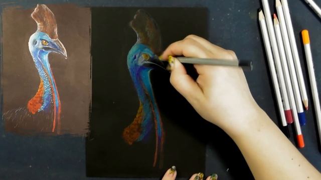 Казуар цветными карандашами. Ни дня без кисти #34 смотреть онлайн