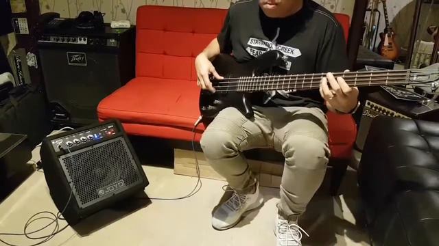Quick Demo Joyo JBA-10