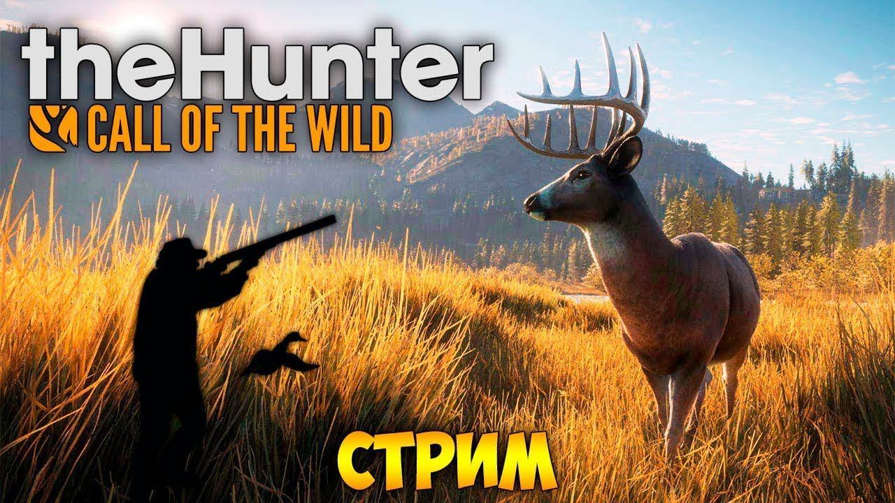 TheHunter:Call Of The Wild совместный стрим с Broadway #stream #thehunter #thehuntercallofthewild смотреть онлайн