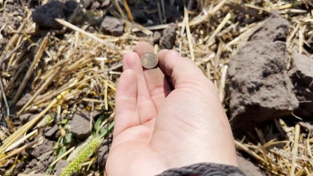 Как Ваня выхаживал поле ЧК и не только смотреть онлайн