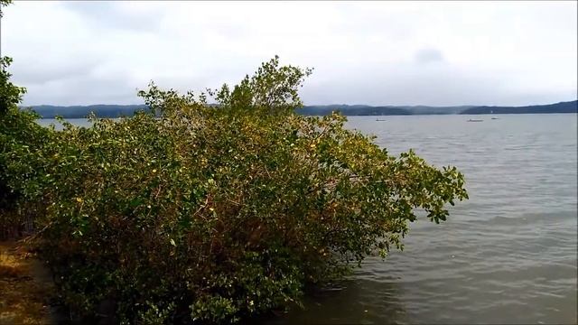 Mesma origem, diferentes destinos смотреть онлайн