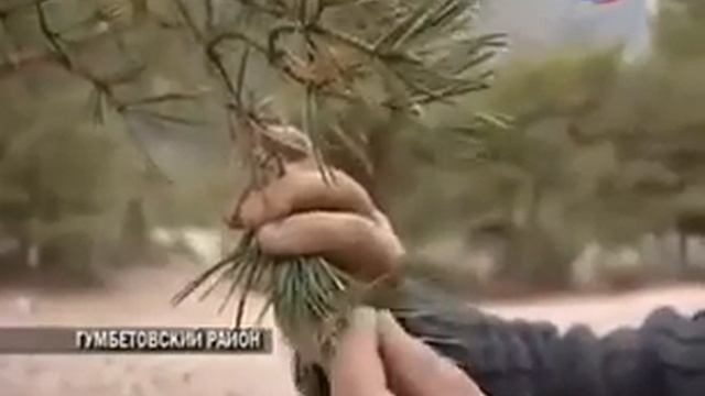 Диагноз от которого мороз по коже ? смотреть онлайн