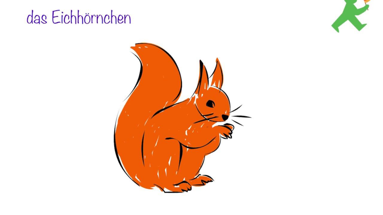 Deutsch Für Kinder:  Waldtiere (A1)#05