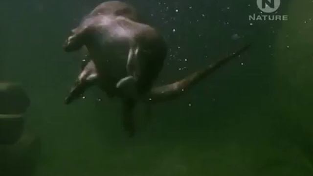 Неизведанная Европа Зима смотреть онлайн