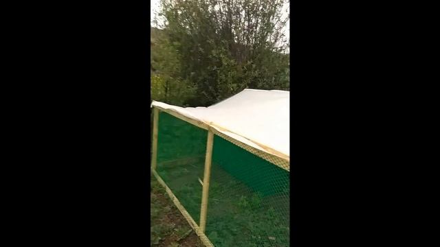 Домашнее подворье Домик для гусей смотреть онлайн