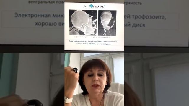 Лямблии и их влияние на организм