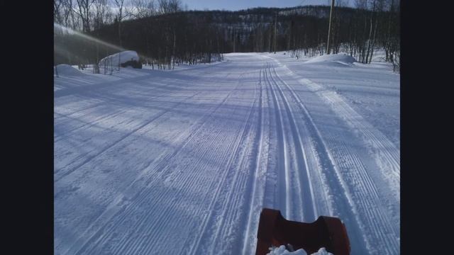 Лыжня 2022 смотреть онлайн