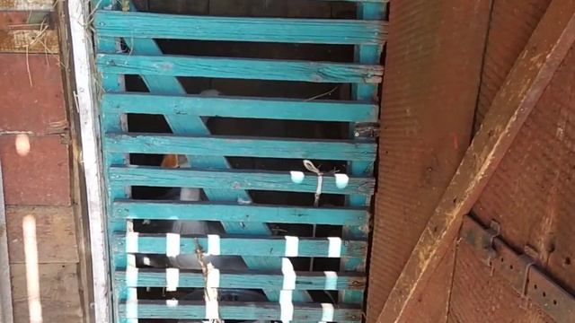 снова беда, но есть один только выход! последние новости! village life vlog смотреть онлайн