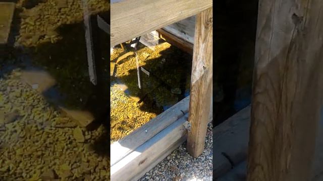 Источник в сопках и пещера по дороге с Ольги близ с. Серафимовка смотреть онлайн