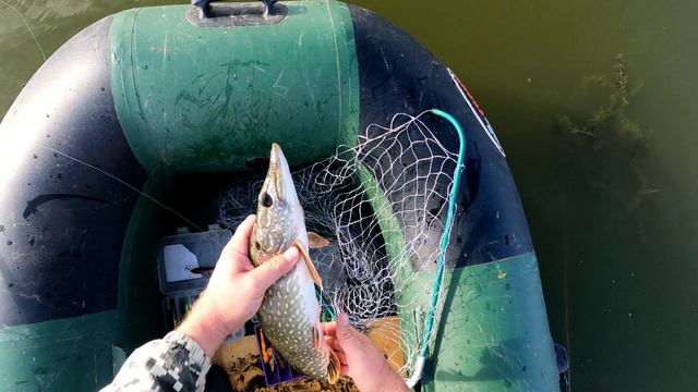 Поклевка ЩУКИ смотреть онлайн