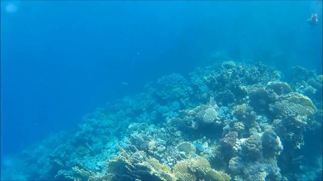 SHARM EL NAGA 2016 смотреть онлайн