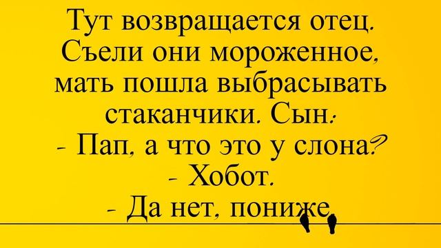 Мам, а что это у слона такое между ног... Лучшие длинные анекдоты и жизненные истории смотреть онлайн