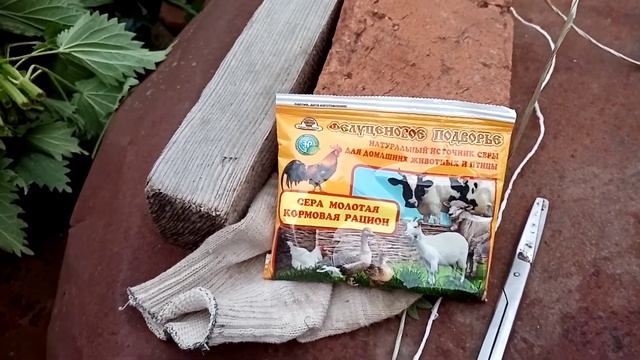 Заготовка крапивы для коз//сера от паразитов смотреть онлайн