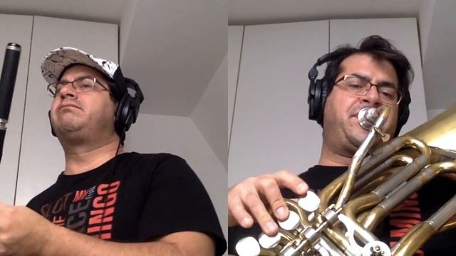 Flyday Chinatown (helicon tuba and 8 key wooden flute cover) смотреть онлайн