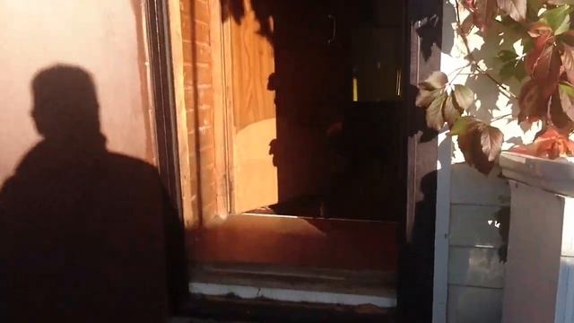 СОБАКА БРОСАЕТСЯ НА БОМЖЕЙ, ЧТО ДЕЛАТЬ? Дрессировка и воспитание ротвейлера смотреть онлайн