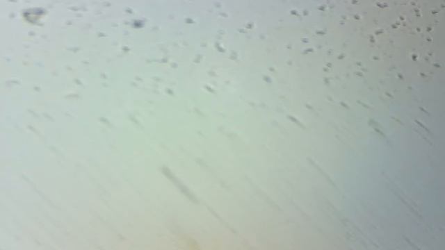 Микроскоп MicroLife ML-12-1.3